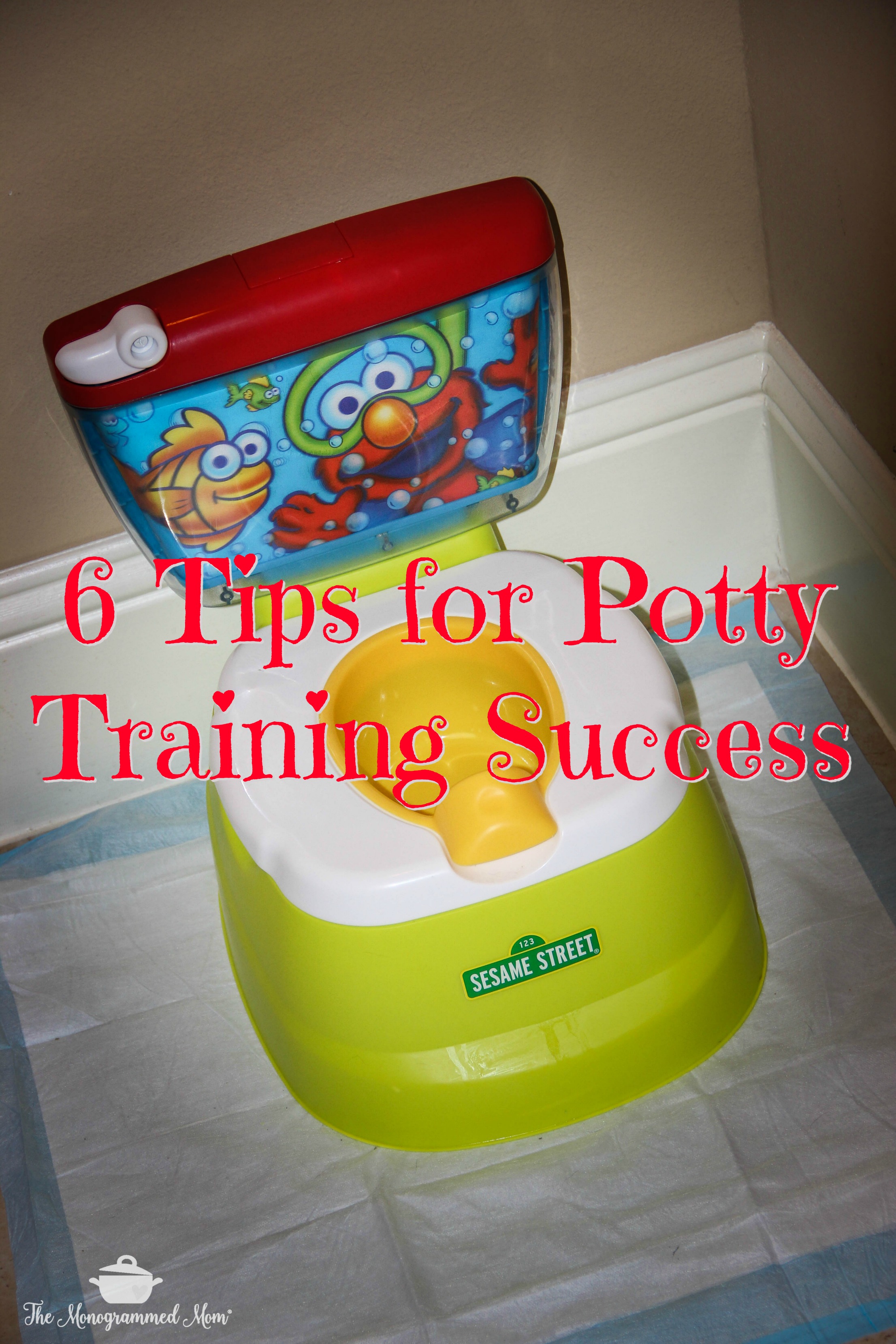 6 Tips for Potty Training Success