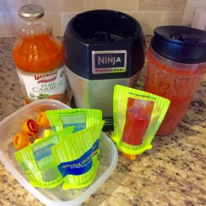 Homemade Baby Food Purees for Pouches
