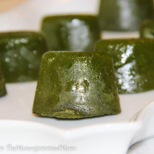Spinach Smoothie Cubes {Whole30} {Paleo}